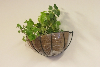 588cb6005e83a02c30f7f4a75f07589f_s