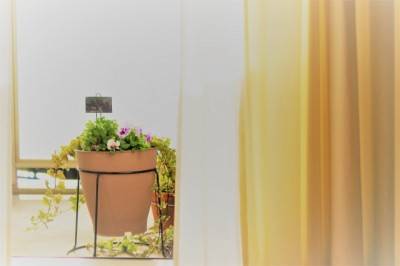 5d75d5ab68100d2f68ce5f1a2cf8652e_s