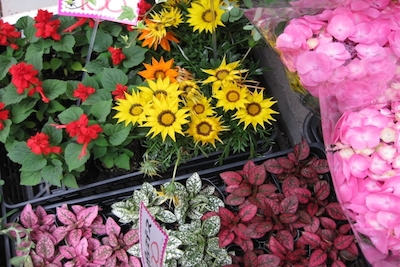 5fb9bc7ad047c0b30a6bb54cdc638844_s