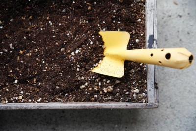 619f1a6719a34a57adb8e1731665b367_s