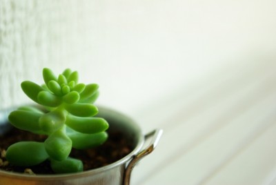 62ff62214b9a7ae2dc71170333fe1e2a_s