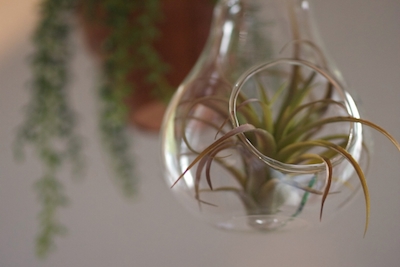 663ef4f9004855f46c29ab19c69a195f_s