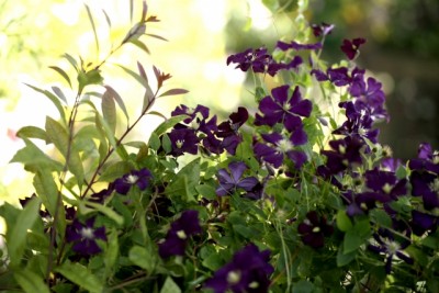 67bdb9c1b4a1aae0a7c56adf31d2c524_s