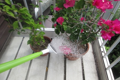 69cbbb8b902a10e95d8a7479aa0deb01_s