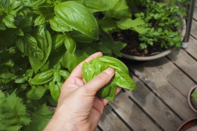 8d61b3668cad88ac9992b4d57420771f_s