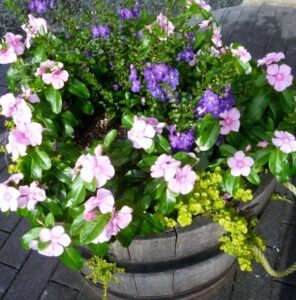 VXnY2P のコピー