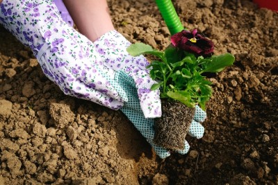 ae957173cd58d0a1ec84c27f7a539932_s