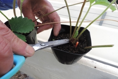 d29b59419242603aec094e4aa27b39f8_s