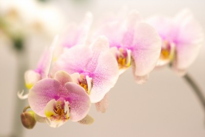 f995f29cf9495b1aa6ac282fddde3fbb_s