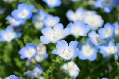 05ddaf89015f7645fc6b5c92a57e875c_s