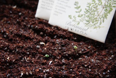 092f8104e51651e017c94e6ba1416a3a_s