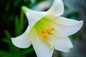 18f71f6d4f32edc939174ce9ea527add_s