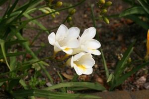 2c0c9168644f6217fd8917eeb2b179d3_s