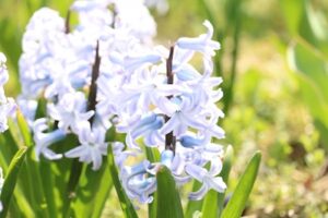 3014c37a4fdb1cf93473bf4d05b416a6_s