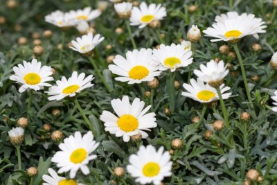 3587e548bd60f63ca02de8f572fac211_s