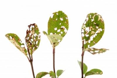 4b46ddf4688112f804db3ebff014a8a3_s