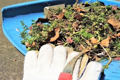 5ce5503862d85ef6f75bbf32d74c9116_s