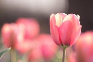 5e73e74e4c7b3c934dd2eae100ffe17c_s