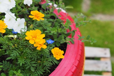 613567720403d2573ceec4f14f38e197_s