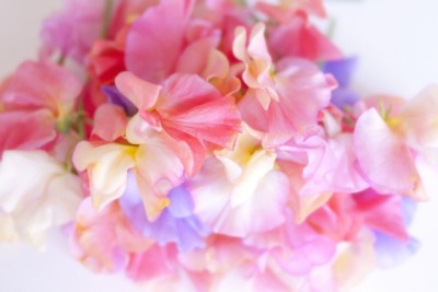 65a680d35729170427abf07bffb719b5_s