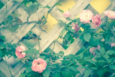 6e5fee0e800c5f1d7a1ac395774ae679_s