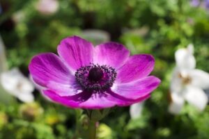 8076869677b052612a5b8c046dc17bec_s