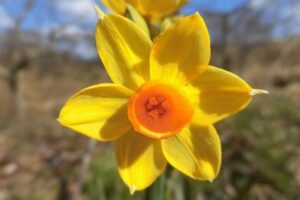 837028e5a114c8a8943530040a5555c4_s