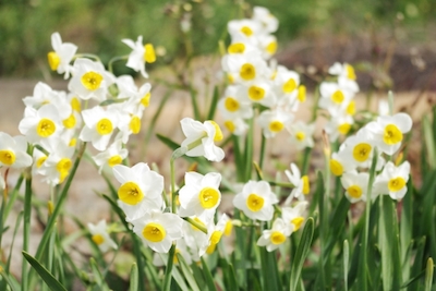 b1e4401509baffbcbf808b704aaccde7_s