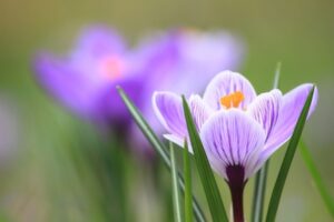 cb6a17c88d33e7f6ce67d39c02179b5a_s