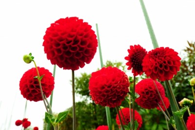 d237d7f35e44985cae8169a95c06ba71_s